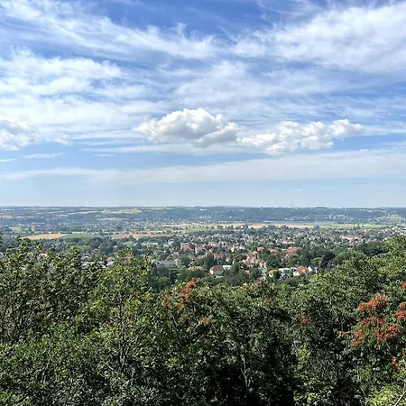 Zum Pfeiffer 酒店 拉德博伊尔