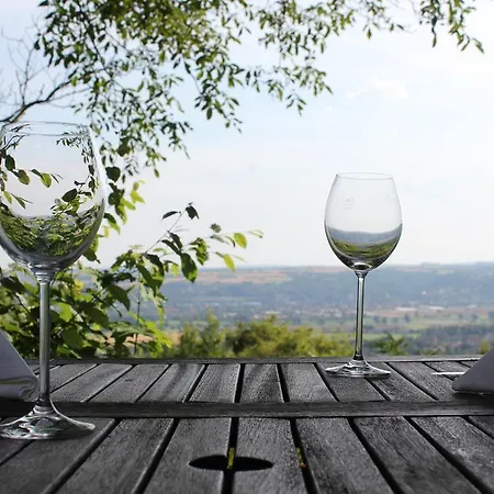 酒店 Zum Pfeiffer 拉德博伊尔